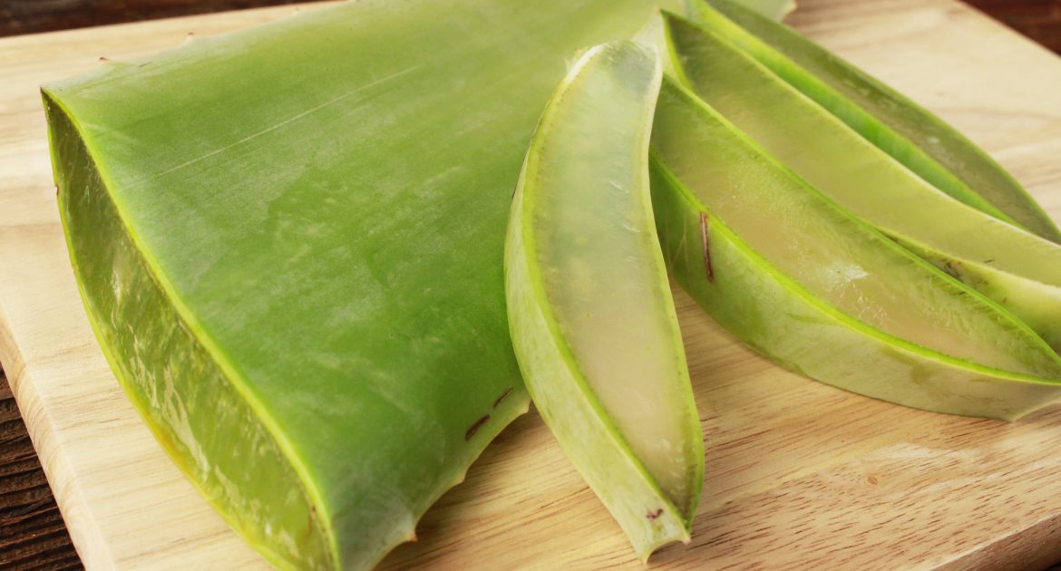How to Remove the Gel from an Aloe Vera Leaf
