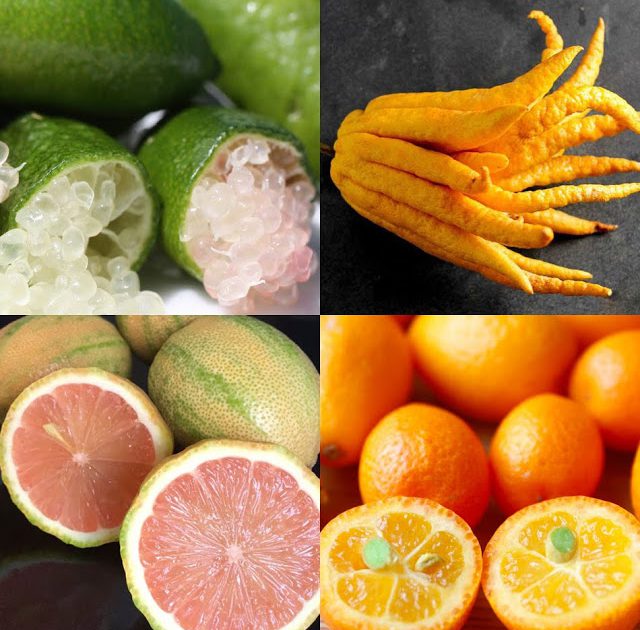 Unique And Specialty Citrus Fruits