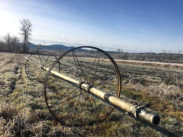 Frosty Fields & Reading Time