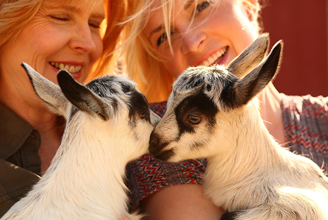 Meet Your Farmer: Chivas Goat Milk Soaps