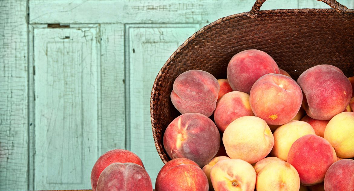 How To Care For Stone Fruit & Recipe Roundup