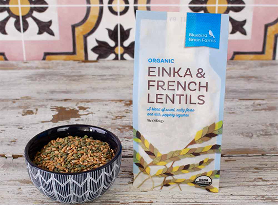 Einka and French Lentils