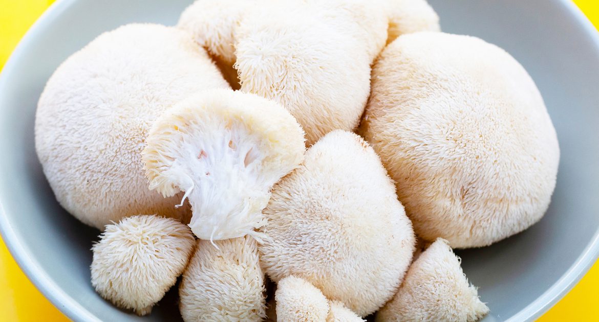 Functional Mushrooms Support Your Wellbeing