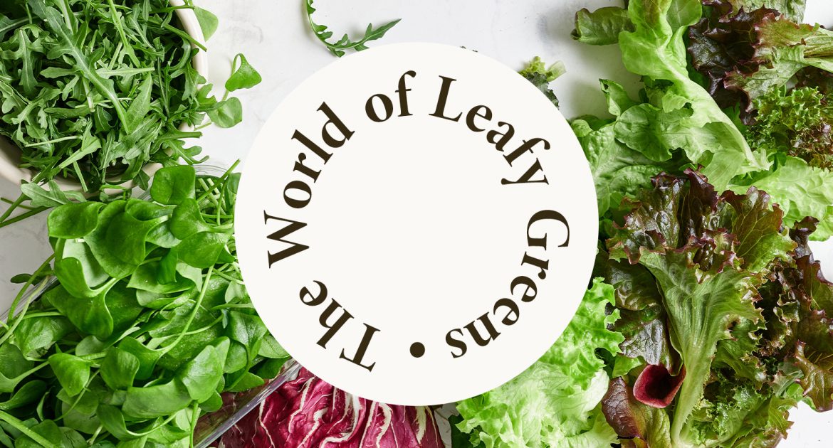 The World of Leafy Greens