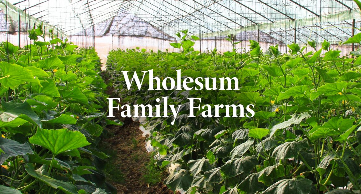Wholesum Family Farms