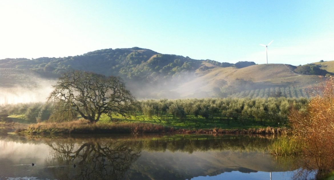McEvoy Ranch